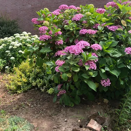 Laaker Nearby Outlet Roermond * Ohé en Laak