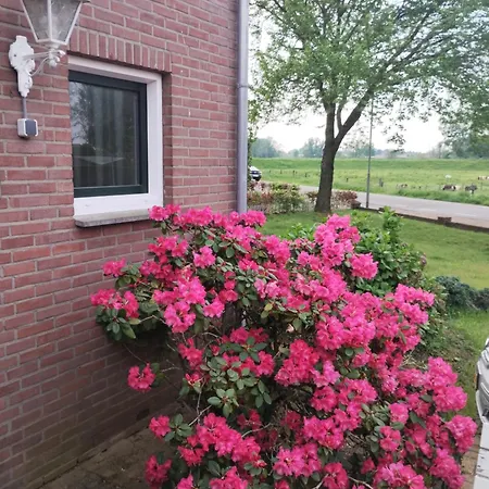 Apartment Laaker Nearby Outlet Roermond *