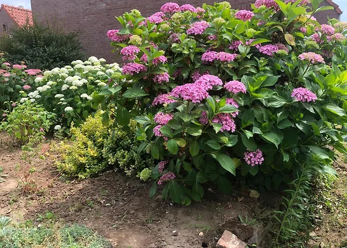 Laaker Nearby Outlet Roermond * Ohé en Laak