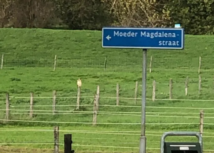 Laaker Nearby Outlet Roermond