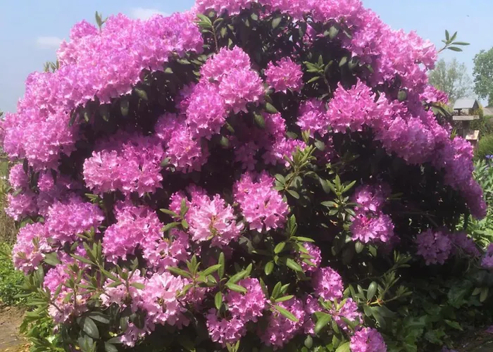 Apartamento Laaker Nearby Outlet Roermond