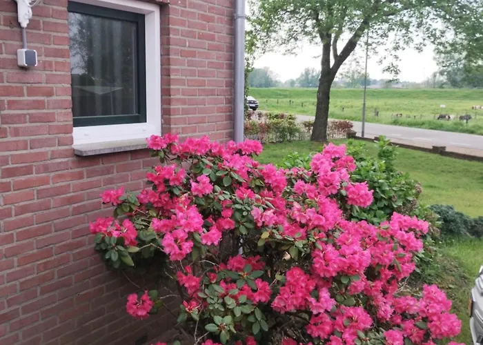 Apartamento Laaker Nearby Outlet Roermond *