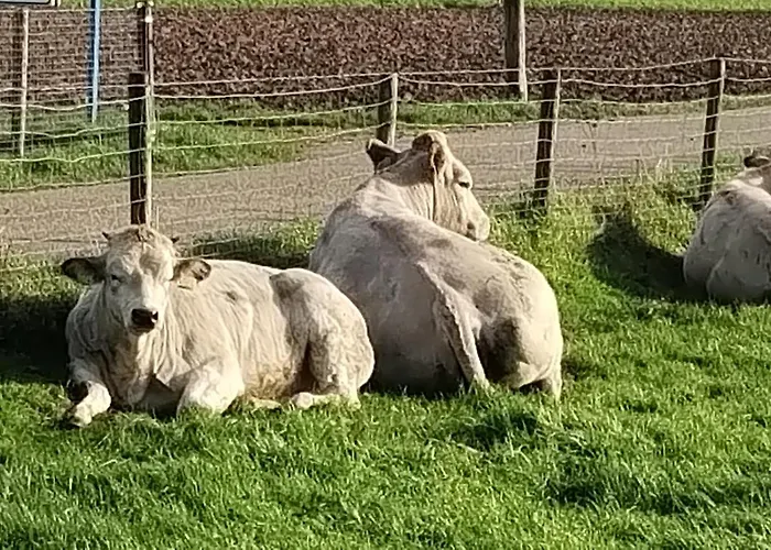 Laaker Nearby Outlet Roermond Apartamento