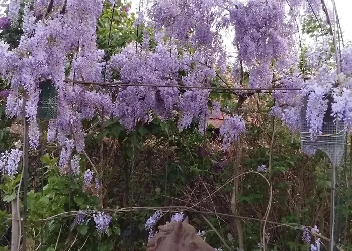 Laaker Nearby Outlet Roermond