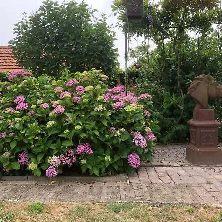 Apartment Laaker Nearby Outlet Roermond