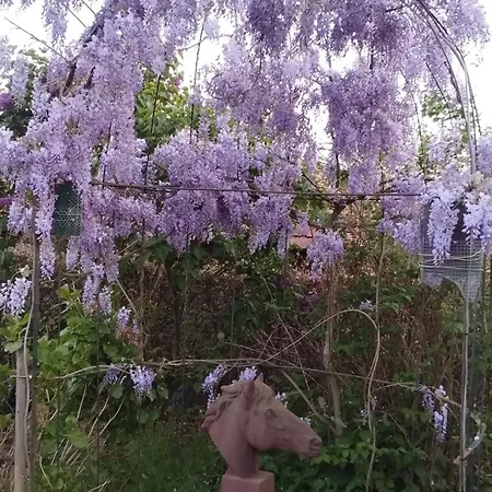 Laaker Nearby Outlet Roermond